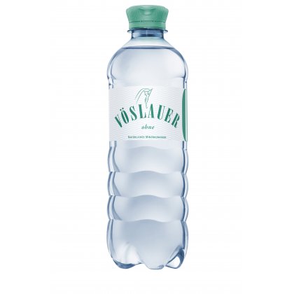 VÖSLAUER ohne 24 x 0,5 Liter A21022.jpg